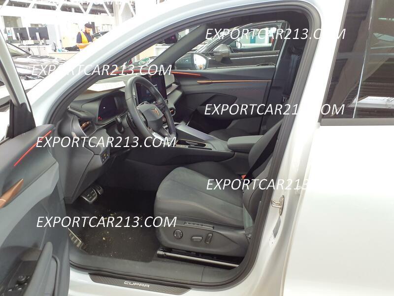 CUPRA TERRAMAR 